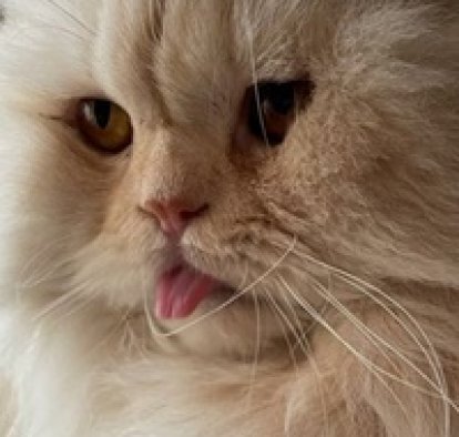 Светлана Морозова